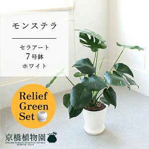 y[tO[ZbgzyZA[g^zCg zXe@7y󂯎Mtz×tXS@Ȃy픫/󂯎Mtzy2Zbgz