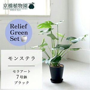 【30日はP5倍!】【リリーフグリーンセット】【セラアート鉢/ブラック 黒】モンステラ 7号【受け皿付き】 ×サンスベリア【陶器鉢/受け皿付き】【2鉢セット】