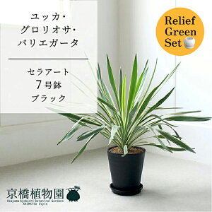 y[tO[ZbgzyZA[g^ubN zbJEOITEoGK[^@7y󂯎Mtz@×tXS@Ȃy픫/󂯎Mtzy2Zbgz