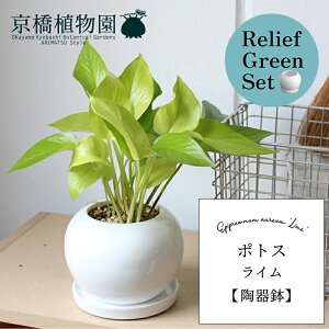 y}\N[|Lzy[tO[Zbgz|gXECy픫/󂯎Mtz×KW}y픫/󂯎Mtzy2Zbgz