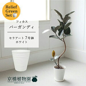 ySSN[|zySSizy[tO[ZbgzyZA[gFzCgztBJXEo[KfB@Ȃ@7@×tXS@Ȃy픫/󂯎Mtzy2Zbg