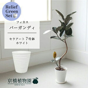 y5P5{IzySSN[|zy[tO[ZbgzyZA[gFzCgztBJXEo[KfB@Ȃ@7@×TXxAy픫/󂯎Mtzy2Zbgz