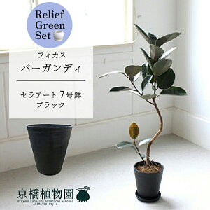 ySSN[|zy[tO[ZbgzyZA[gFubNztBJXEo[KfB@Ȃ@7@×TXxAy픫/󂯎Mtzy2Zbgz