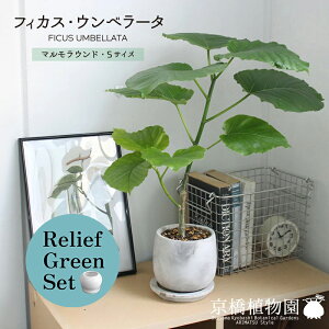 y10P5{IzySSN[|zy[tO[Zbgzy}EhSTCYzEx[^y󂯎Mtz×KW}y픫/󂯎Mtzy2Zbgz