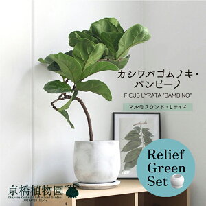 y1P7{zy[tO[Zbgzy}EhLTCYzJVoSmLEor[my󂯎Mtz×KW}y픫/󂯎Mtzy2Zbgz