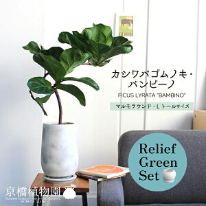 y1P7{Izy[tO[Zbgzy}EhLEg[TCYzJVoSmLEor[my󂯎Mtz×KW}y픫/󂯎Mtzy2Zbgz