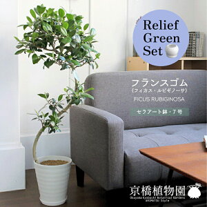 ySSN[|zySSizy[tO[ZbgzyZA[gF7ztXSitBJXErMm[TjȂdāy󂯎Mtz@×TXxAy픫/󂯎M