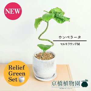 y30P5{Izy}\N[|Lzy[tO[Zbgzy}EhMzEx[^@Ȃy󂯎Mtz4G×tXS@Ȃy픫/󂯎Mtzy2Zbg