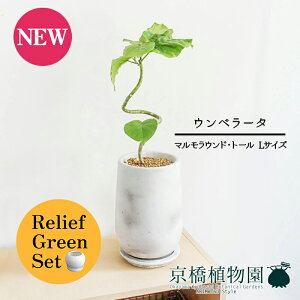 y30P5{Izy}\N[|Lzy[tO[Zbgzy}EhEg[@LTCYzEx[^@Ȃy󂯎Mtz4G×tXS@Ȃy픫/󂯎Mt