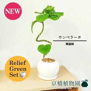 y30P5{Izy}\N[|Lzy[tO[Zbgzy픫zEx[^@Ȃy󂯎Mtz4G×tXS@Ȃy픫/󂯎Mtzy2Zbgz