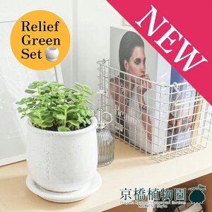 y30P5{Izy[tO[ZbgzyXeEhFMTCY/픫zn[u A}eBJXy󂯎Mtz×tXS@Ȃy픫/󂯎Mtzy2Zbgz