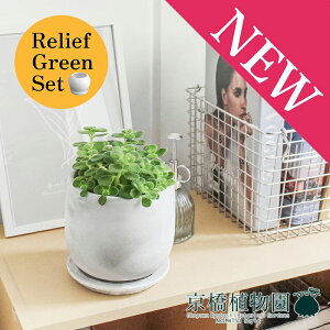 y[tO[Zbgzy}EhSTCY/󂯎Mtzn[u A}eBJX×tXS@Ȃy픫/󂯎Mtzy2Zbgz