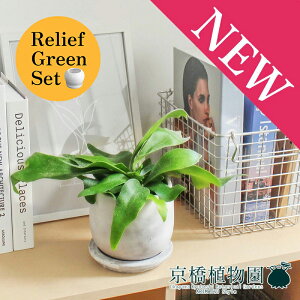 y[tO[Zbgzy}EhSTCY/󂯎MtzREErtJc×tXS@Ȃy픫/󂯎Mtzy2Zbgz