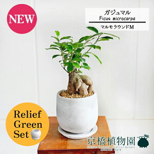 y5P5{IzySSN[|zySSizy[tO[Zbgzy}EhMzKW}y󂯎Mtz5G×tXS@Ȃy픫/󂯎Mtzy2Zbgz