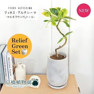 y[tO[Zbgzy}Ehg[LTCY/󂯎MtztBJXEAeV[}@Ȃ@4G×tXS@Ȃy픫/󂯎Mtzy2Zbgz