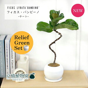 y30P5{Izy}\N[|Lzy[tO[Zbgzye[g픫/zCgzJVoSmL or[m Ȃy󂯎Mtz4G×tXS@Ȃy픫/