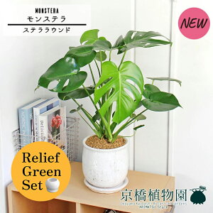 y1P7{Izy[tO[ZbgzyXeEhFLTCY/픫zXe y󂯎Mtz5G×tXS@Ȃy픫/󂯎Mtzy2Zbgz