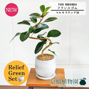 y30P5{Izy}\N[|Lzy[tO[Zbgzy}EhMztXS@Ȃy󂯎Mtzpot×tXS@Ȃy픫/󂯎Mtzy2Zbgz