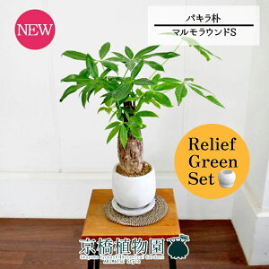 y5P5{IzySSN[|zy[tO[Zbgzy}EhSzpL@p@5G×tXS@Ȃy픫/󂯎Mtzy2Zbgz