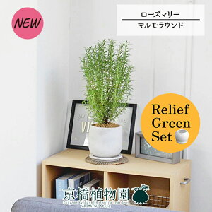 y[tO[Zbgzy}EhMz[Y}[ 4G×tXS@Ȃy픫/󂯎Mtzy2Zbgz