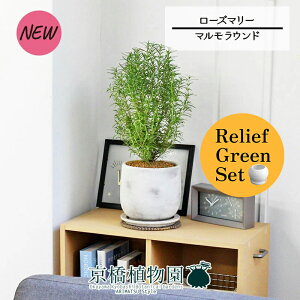 y[tO[Zbgzy}EhLz[Y}[ 4G×tXS@Ȃy픫/󂯎Mtzy2Zbgz