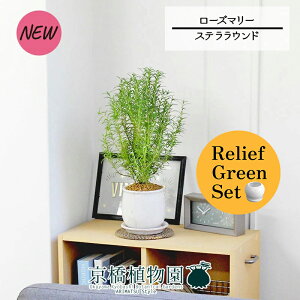 y1P7{zy[tO[ZbgzyXeEhFMTCY/픫z[Y}[ 4G×tXS@Ȃy픫/󂯎Mtzy2Zbgz