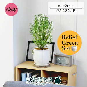 ySSN[|zy[tO[ZbgzyXeEhFLTCY/픫z[Y}[ 4G×tXS@Ȃy픫/󂯎Mtzy2Zbgz