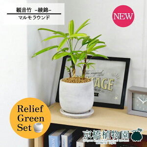 y1P7{Izy[tO[Zbgzy}EhMzω|iJm`Nj -- 4G×tXS@Ȃy픫/󂯎Mtzy2Zbgz