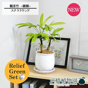 ySSN[|zy[tO[ZbgzyXeEhFMTCY/픫zω|iJm`Nj -- 4G×tXS@Ȃy픫/󂯎Mtzy2Zbgz