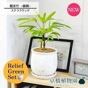 y5P5{IzySSN[|zySSizy[tO[ZbgzyXeEhFLTCY/픫zω|iJm`Nj -- 4G×tXS@Ȃy픫/󂯎Mt