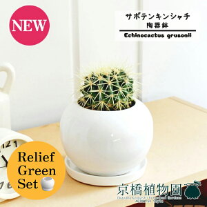 y1P7{Izy[tO[Zbgzy픫/zCgzT{e ́iLV`jy󂯎Mtz3.5G×tXS@Ȃy픫/󂯎Mtzy2Zbgz