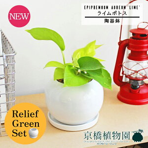 y1P7{zy[tO[Zbgzy픫/zCgzC|gXy󂯎Mtzpot×tXS@Ȃy픫/󂯎Mtzy2Zbgz