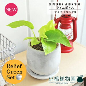 y30P5{Izy[tO[Zbgzy}EhSzC|gXy󂯎Mtzpot×tXS@Ȃy픫/󂯎Mtzy2Zbgz