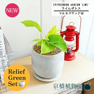 y1P7{zy[tO[Zbgzy}EhMzC|gXy󂯎Mtzpot×tXS@Ȃy픫/󂯎Mtzy2Zbgz