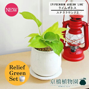 y30P5{Izy[tO[ZbgzyXeEhFSTCY/픫zC|gXy󂯎Mtzpot×tXS@Ȃy픫/󂯎Mtzy2Zbgz