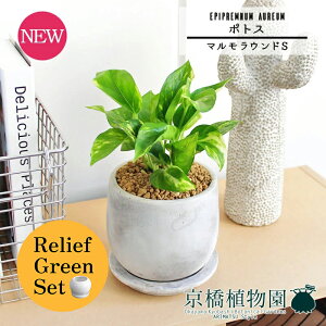 ySSN[|zy[tO[Zbgzy}EhSz|gXy󂯎Mtzpot×tXS@Ȃy픫/󂯎Mtzy2Zbgz