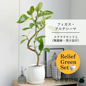 y30P5{Izy}\N[|Lzy[tO[ZbgztBJXEAeV[} ȂyXeEhLTCY/zCgz 󂯎Mt 6G×tXS@Ȃy픫/