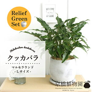 y1P7{Izy[tO[Zbgzy}EhLTCYzNbJoy󂯎Mtz×tXS@Ȃy픫/󂯎Mtzy2Zbgz