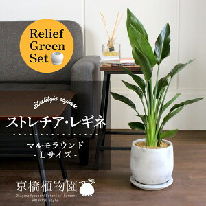 y1P7{zy[tO[Zbgzy}EhLTCYzXg`AEMl/Xg`AEMiGy󂯎Mtz×tXS@Ȃy픫/󂯎Mtzy2Zbg