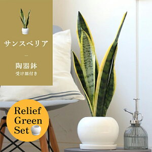 ySSN[|zySSizy[tO[Zbgzy픫zTXxAy󂯎Mtz4G×tXS@Ȃy픫/󂯎Mtzy2Zbgz