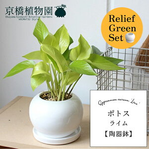 y25P5{IzyubNtCf[N[|LIzy[tO[Zbgz|gXECy픫/󂯎Mtz×tXS@Ȃy픫/󂯎Mtzy2Zbgz