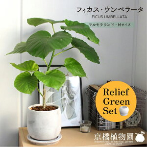 ySSN[|zySSizy[tO[Zbgzy}EhMTCYzEx[^y󂯎Mtz×tXS@Ȃy픫/󂯎Mtzy2Zbgz