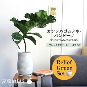 y30P5{Izy}\N[|Lzy[tO[Zbgzy}EhLEg[TCYzJVoSmLEor[my󂯎Mtz×tXS@Ȃy픫/