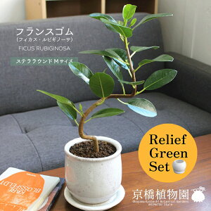 y30P5{Izy}\N[|Lzy[tO[ZbgzyXeEhFMTCY/픫ztXSyȂzy󂯎Mtz×tXS@Ȃy픫/󂯎M