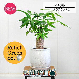 y5P5{IzySSN[|zy[tO[ZbgzyXeEhFLTCY/픫zpL@p@5G×tXS@Ȃy픫/󂯎Mtzy2Zbgz