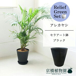 ySSN[|zy[tO[ZbgzyZA[gFubNzAJV@7@6G@×TXxAy픫/󂯎Mtzy2Zbgz