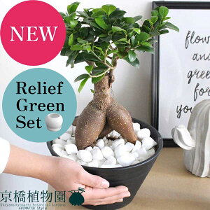 yubNtCf[N[|LIzy[tO[ZbgzKW}@7@ZA[g×KW}y픫/󂯎Mtzy2Zbgz