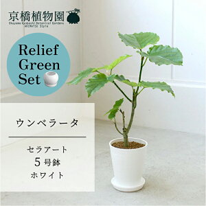 ySSN[|zySSizy[tO[ZbgzyZA[g^zCgzEx[^@5y󂯎Mtz×KW}y픫/󂯎Mtzy2Zbgz