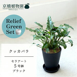 ySSN[|zySSizy[tO[ZbgzyZA[g^ubNzNbJo@5y󂯎Mtz×KW}y픫/󂯎Mtzy2Zbgz