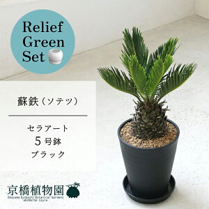 y30P5{Izy}\N[|Lzy[tO[ZbgzyZA[g^ubNzhSi\ecj@5y󂯎Mtz×KW}y픫/󂯎Mtzy2Zbgz